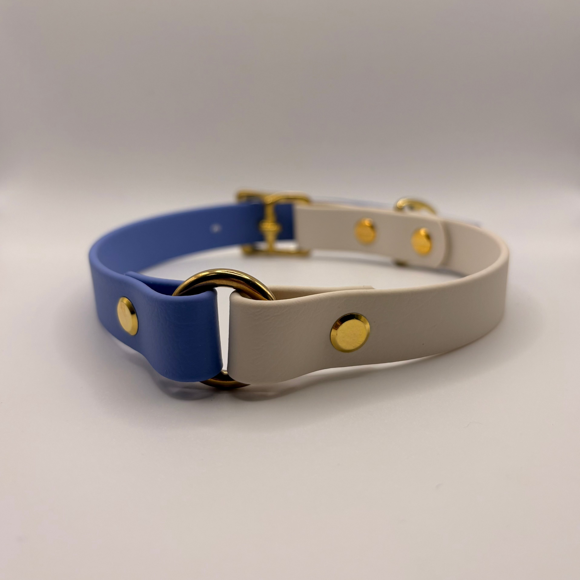 Collier pour chien Bicolore BIOTHANE® - Blueberry