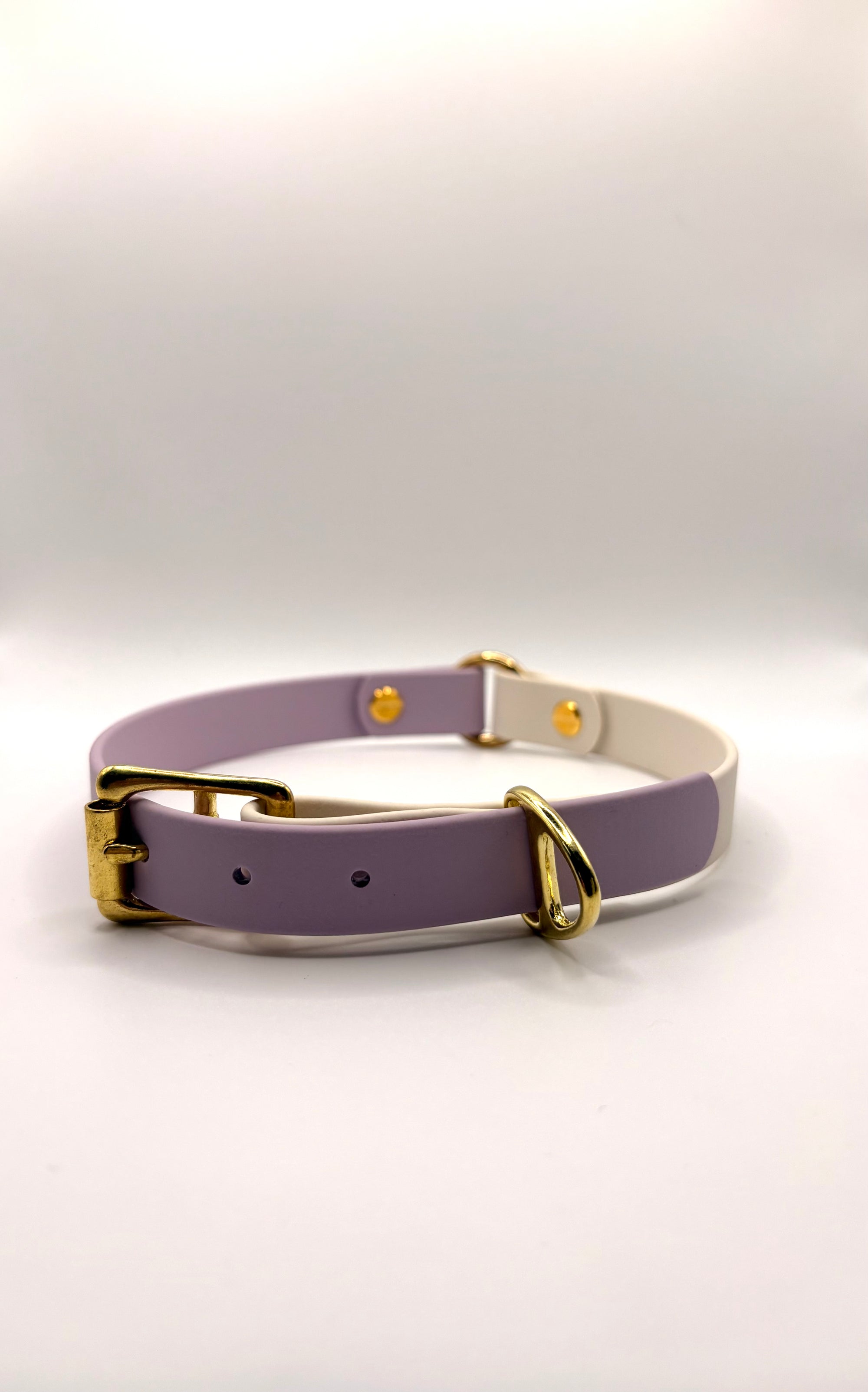 Collier pour chien Bicolore BIOTHANE® - Lila