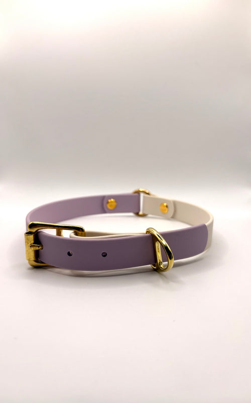 Collier pour chien Bicolore BIOTHANE® - Lila