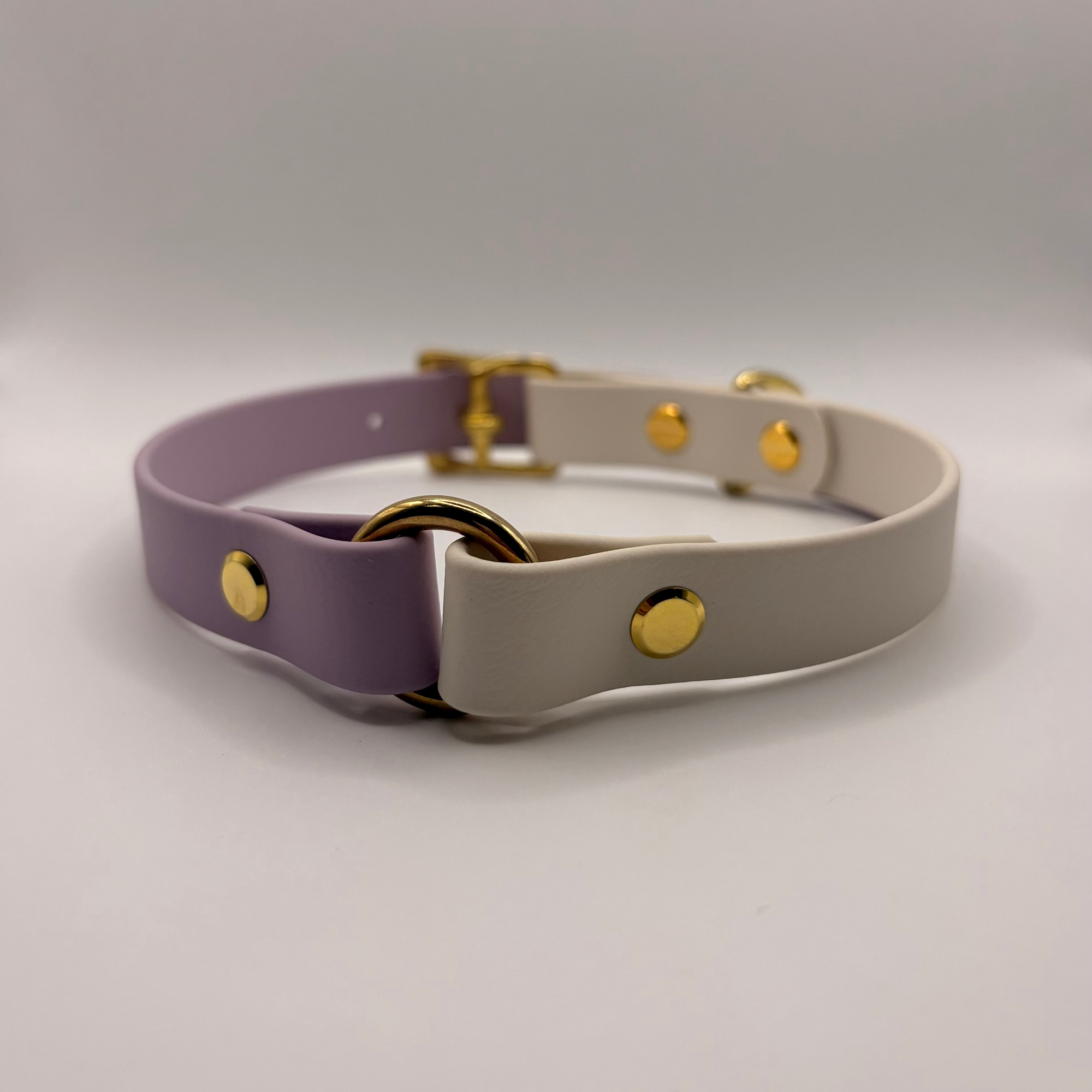 Collier pour chien Bicolore BIOTHANE® - Lila
