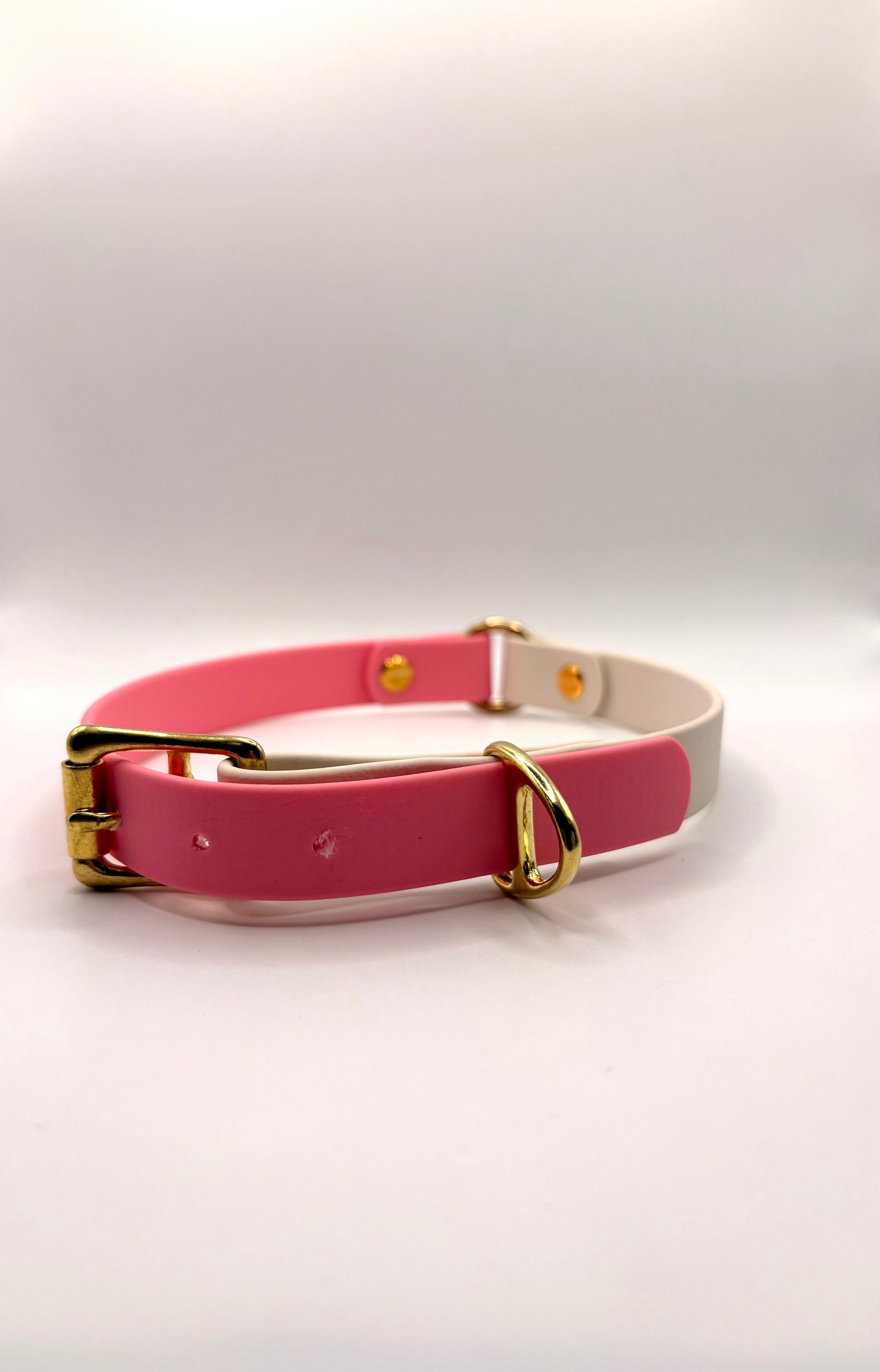 Collier pour chien Bicolore BIOTHANE® - Bubblepink