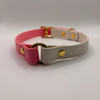 Collier pour chien Bicolore BIOTHANE® - Bubblepink