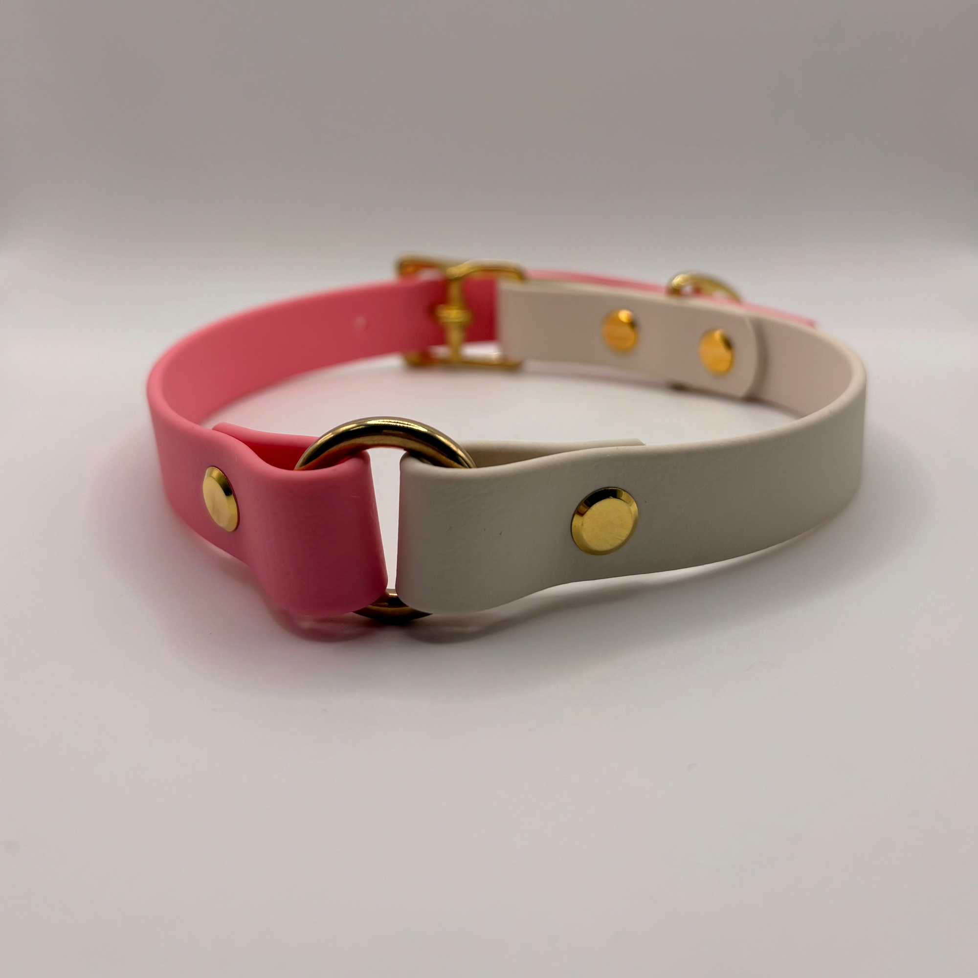 Collier pour chien Bicolore BIOTHANE® - Bubblepink