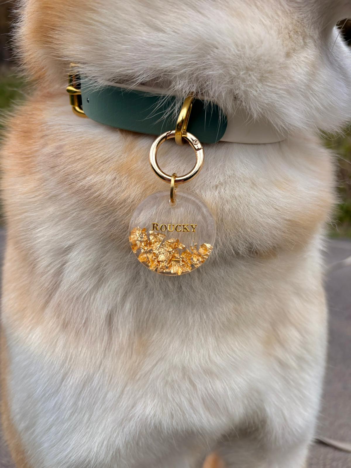 Médaille pour chien personnalisée en résine époxy