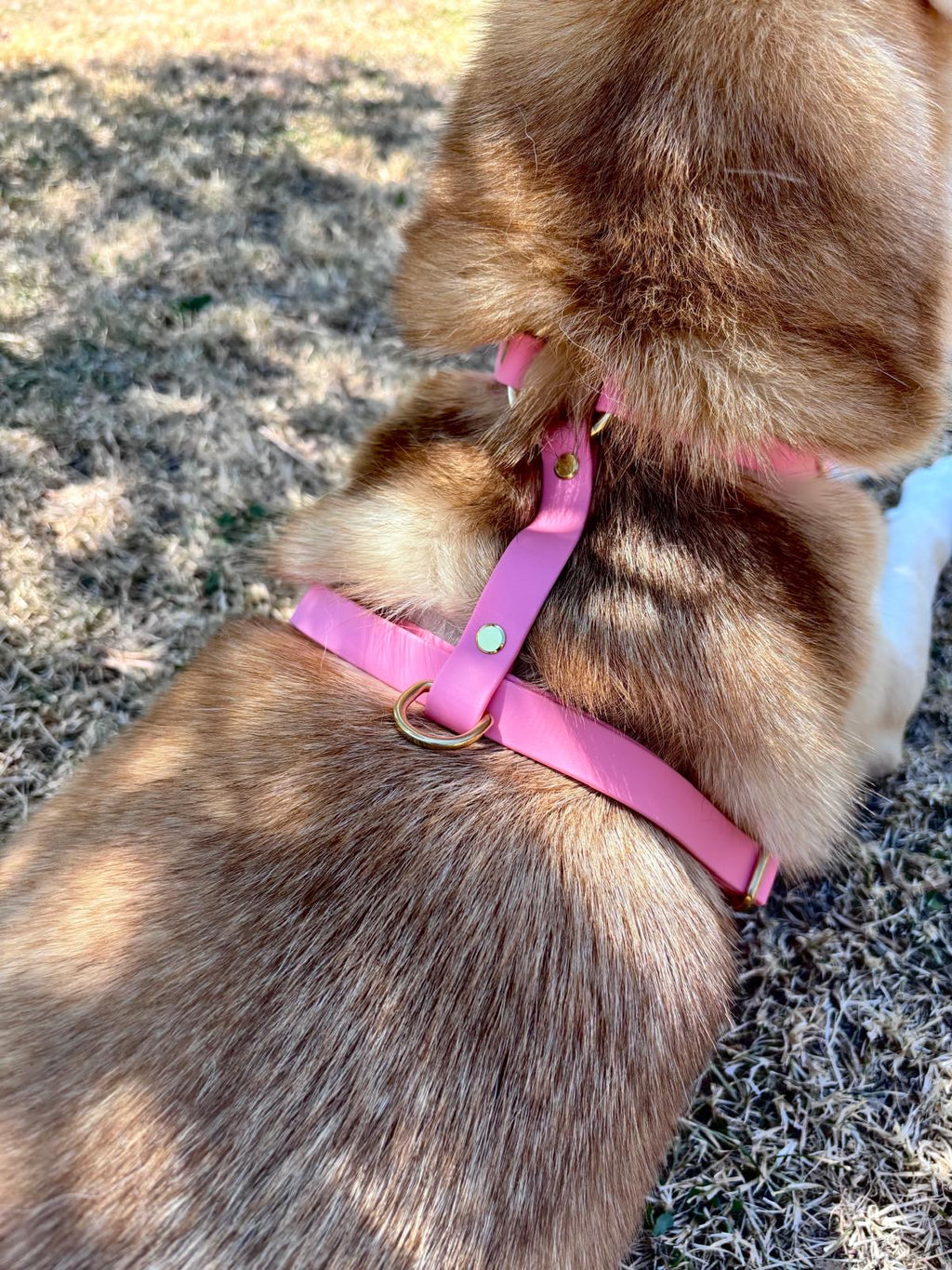 Harnais Chien BIOTHANE® - Bubblepink