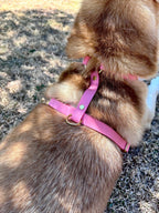 Harnais Chien BIOTHANE® - Bubblepink