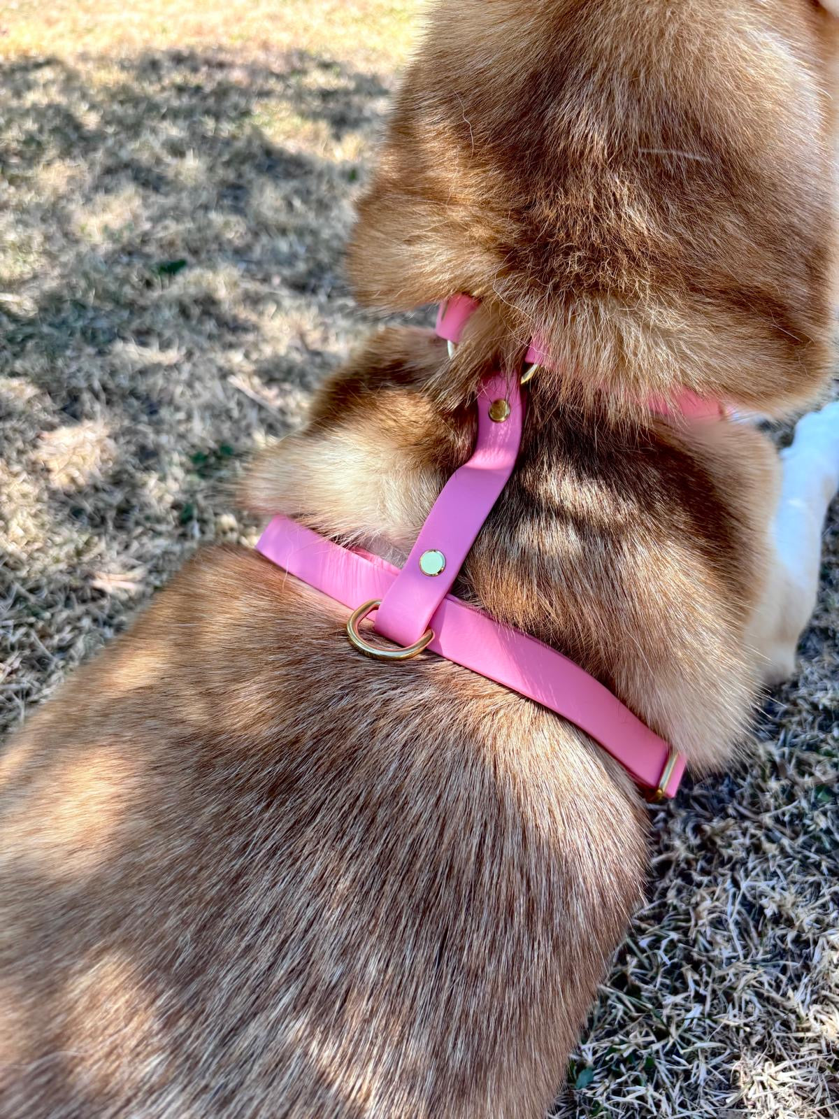 Harnais Chien BIOTHANE® - Bubblepink